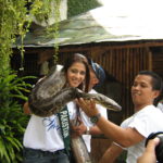 Snake pic in Manila